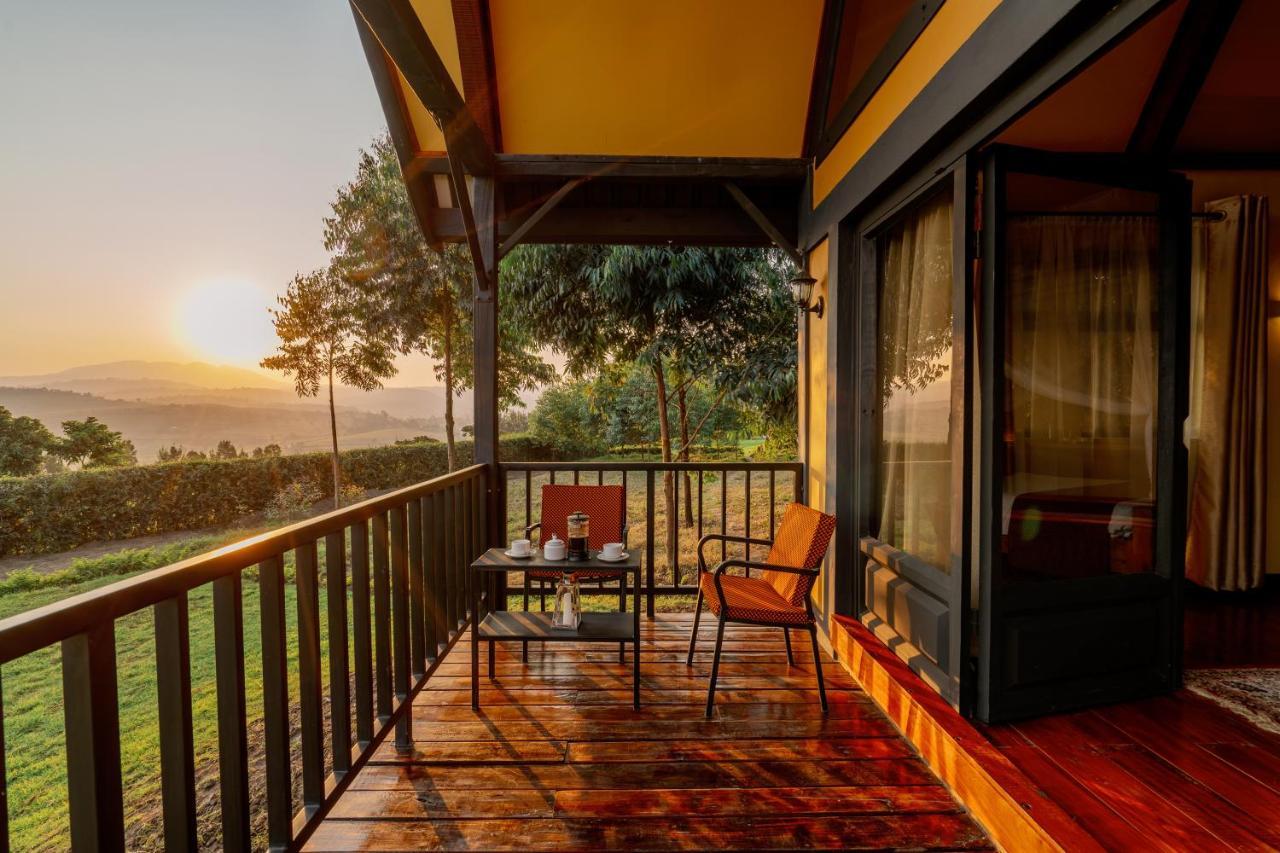 Shamba Lodge Cabin B Arusha Exteriér fotografie