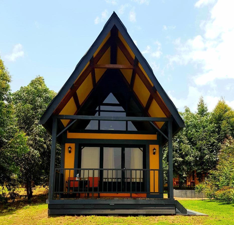 Shamba Lodge Cabin B Arusha Exteriér fotografie