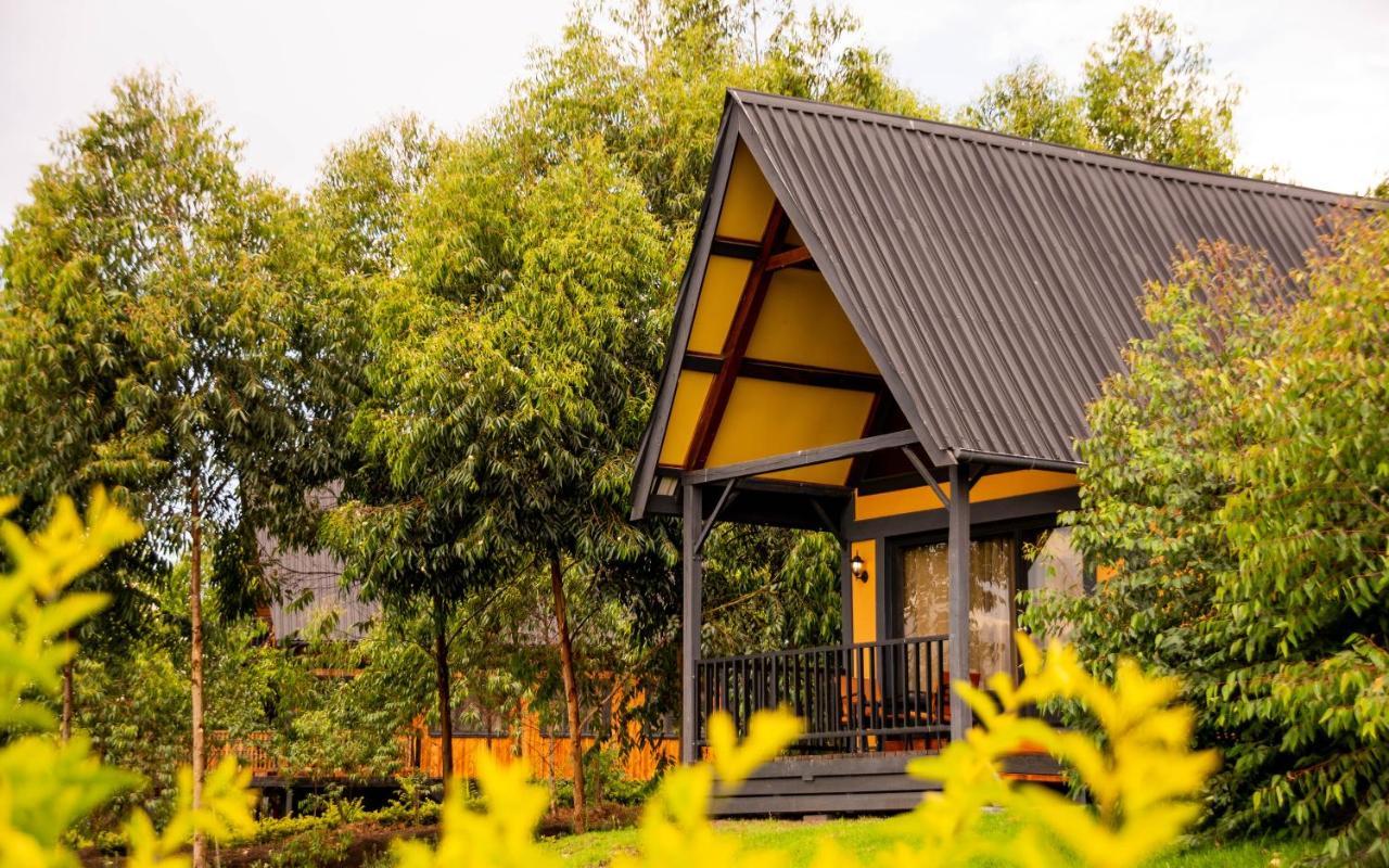 Shamba Lodge Cabin B Arusha Exteriér fotografie